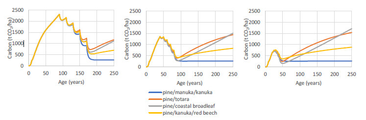 Figure 1: Carbon sequestration under three transition scenarios (tCO₂/ha): slow (left), pine canopy gradually eliminated over ages 90–170 years; intermediate (middle), 40–80 years; rapid (right), 20–40 years. Coloured lines show the four native forest types above. Pine carbon is based on the national radiata pine average.